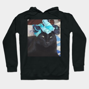 King of cats Hoodie